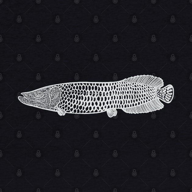 Arapaima - hand drawn detailed fish design by Green Paladin